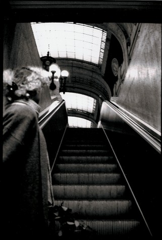 scansione0028.jpg